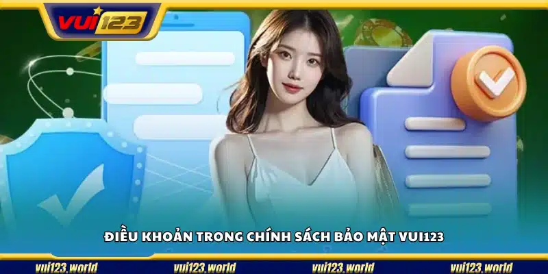 Các điều khoản quan trọng trong chính sách bảo mật của Vui123