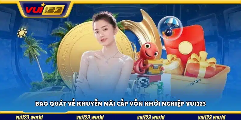 Khái quát khuyến mãi cấp vốn khởi nghiệp từ Vui123