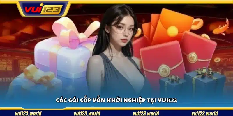 Danh sách các gói hỗ trợ khởi nghiệp Vui123 đang triển khai