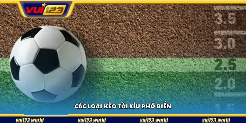 Những loại kèo Tài Xỉu phổ biến trong cá cược