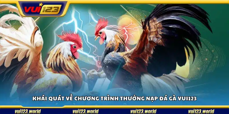 Tổng quan chương trình khuyến mãi thưởng nạp đá gà