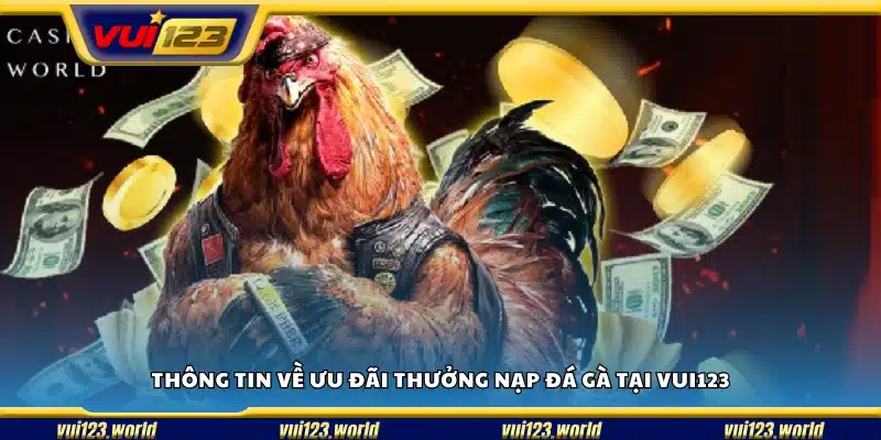 Chi tiết các phần thưởng khi nạp tiền đá gà tại Vui123