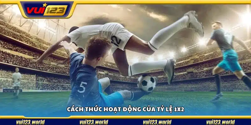 Cách tính và áp dụng tỷ lệ 1X2 trong cược thể thao